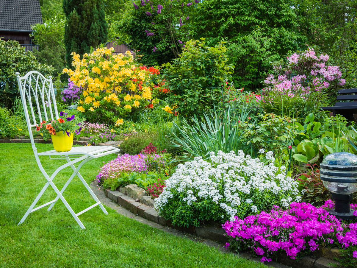 blog-garden.jpg